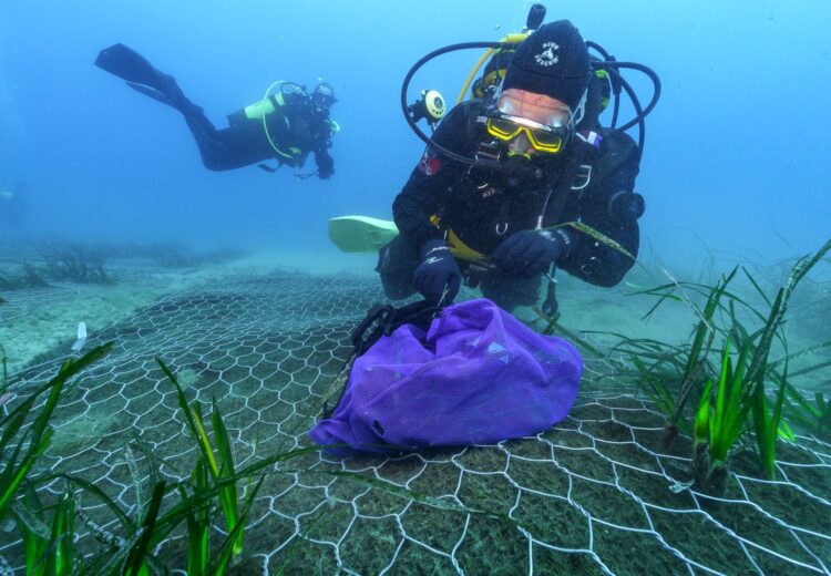 Progetto Foresta Blu Genova: Salvaguardia della Posidonia Oceanica 38 Living Liguria | 2 750x520 1