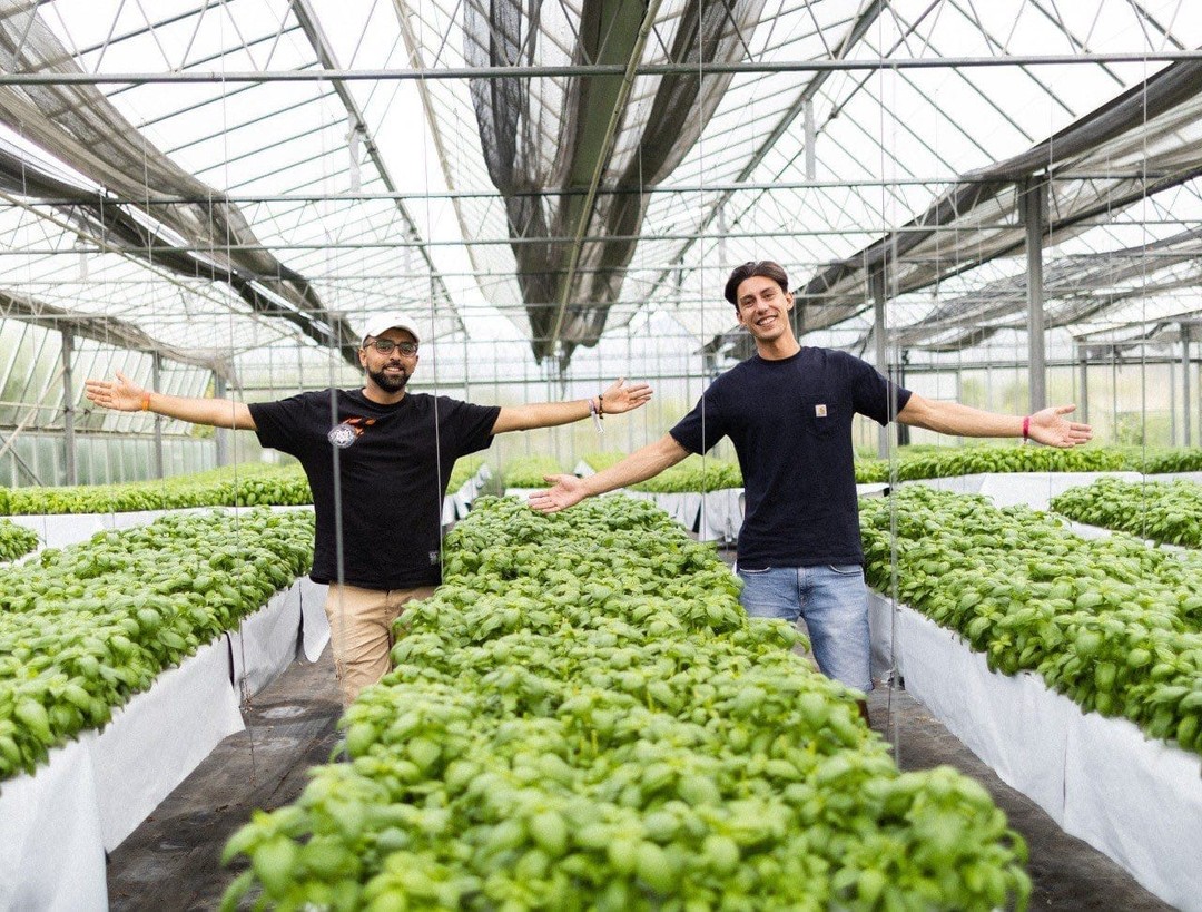 Pesto 5.0 a Laigueglia: il mortaio meccanico che unisce tradizione e innovazione 11 Living Liguria | 4a74c54f 79b4 4652 9829 bdfd2ba42c99 0x1080 1
