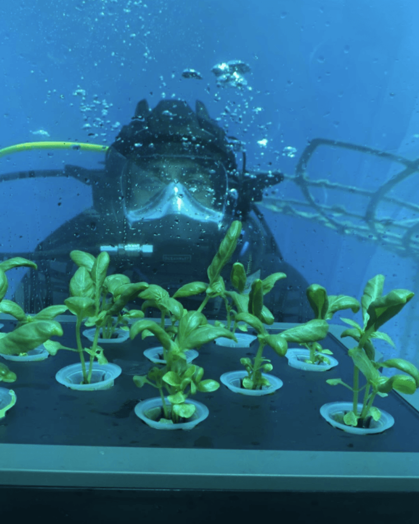 A Noli il pesto si coltiva sott’acqua: il progetto Nemo’s Garden che rivoluziona l’agricoltura 13 Living Liguria | IMG 3336
